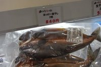 06かやべB魚.JPGのサムネール画像